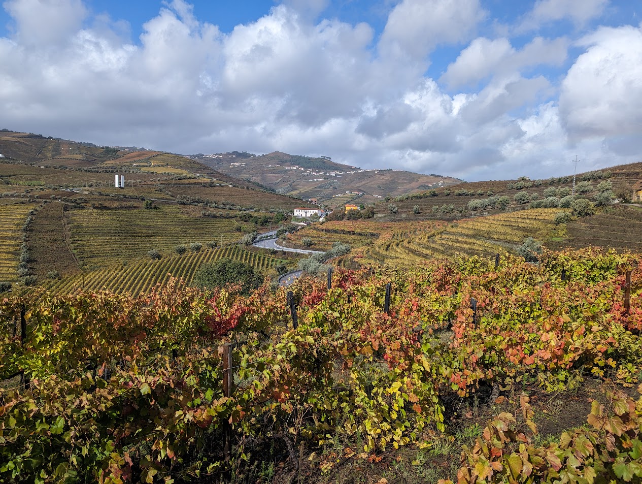 Douro Valley Tour 3