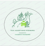 Txi Agostinho Lopes Pinheiro