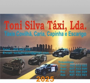 Toni Silva Txi Lda.