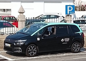 Txi Fozense